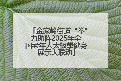 金家岭街道“拳”力助阵2025年全国老年人太极拳健身展示大联动