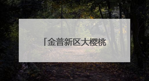 金普新区大樱桃自由尝享季启幕