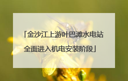 金沙江上游叶巴滩水电站全面进入机电安装阶段