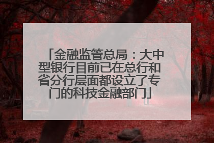 金融监管总局：大中型银行目前已在总行和省分行层面都设立了专门的科技金融部门