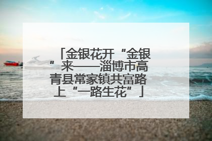 金银花开“金银”来——淄博市高青县常家镇共富路上“一路生花”
