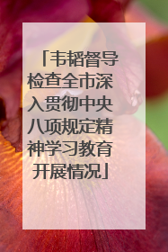 韦韬督导检查全市深入贯彻中央八项规定精神学习教育开展情况