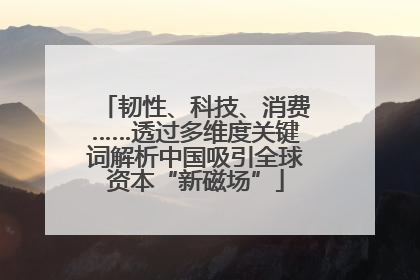 韧性、科技、消费……透过多维度关键词解析中国吸引全球资本“新磁场”