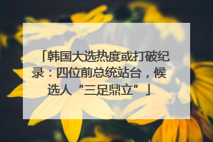 韩国大选热度或打破纪录：四位前总统站台，候选人“三足鼎立”