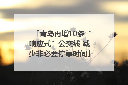 青岛再增10条“响应式”公交线 减少非必要停靠时间