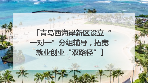 青岛西海岸新区设立“一对一”分组辅导，拓宽就业创业“双路径”