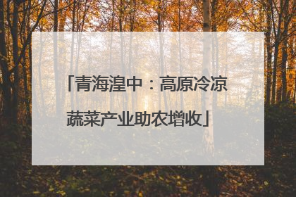 青海湟中：高原冷凉蔬菜产业助农增收