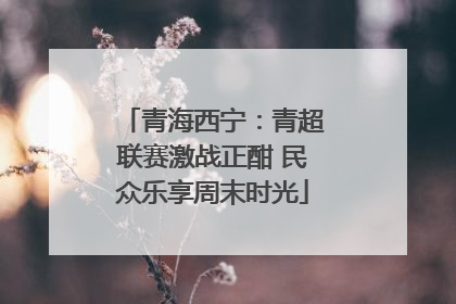 青海西宁：青超联赛激战正酣 民众乐享周末时光