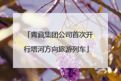 青藏集团公司首次开行塔河方向旅游列车