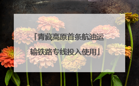 青藏高原首条航油运输铁路专线投入使用