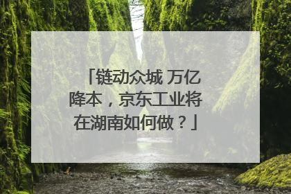 链动众城 万亿降本，京东工业将在湖南如何做？