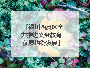 银川西夏区全力推进义务教育优质均衡发展