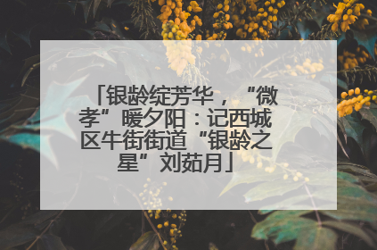 银龄绽芳华，“微孝”暖夕阳：记西城区牛街街道“银龄之星”刘茹月