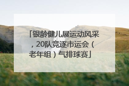 银龄健儿展运动风采，20队竞逐市运会（老年组）气排球赛