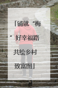 铺就“梅”好幸福路 共绘乡村致富图