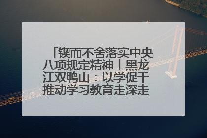 锲而不舍落实中央八项规定精神丨黑龙江双鸭山：以学促干推动学习教育走深走实 从小事入手写好“民生答卷”