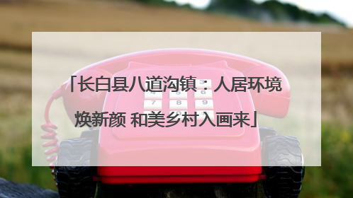 长白县八道沟镇：人居环境焕新颜 和美乡村入画来