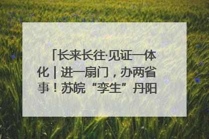 长来长往·见证一体化｜进一扇门，办两省事！苏皖“孪生”丹阳如何做到的？