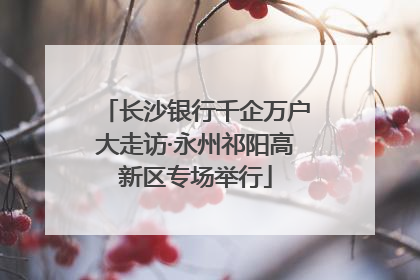 长沙银行千企万户大走访·永州祁阳高新区专场举行