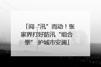 闻“汛”而动！张家界打好防汛“组合拳” 护城市安澜
