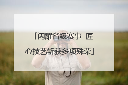 闪耀省级赛事  匠心技艺斩获多项殊荣