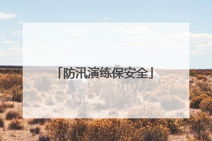 防汛演练保安全
