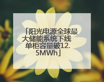 阳光电源全球最大储能系统下线 单柜容量破12.5MWh