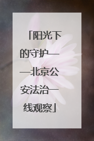 阳光下的守护——北京公安法治一线观察