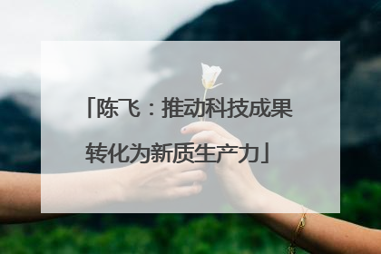 陈飞：推动科技成果转化为新质生产力