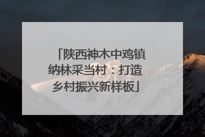 陕西神木中鸡镇纳林采当村：打造乡村振兴新样板