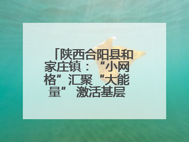陕西合阳县和家庄镇：“小网格”汇聚“大能量” 激活基层治理新动能