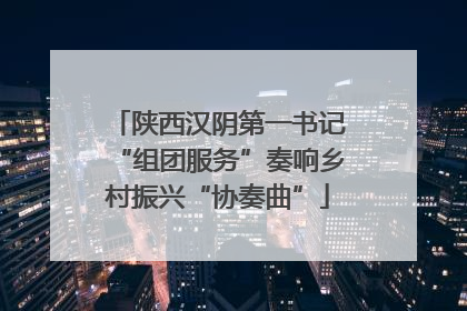 陕西汉阴第一书记“组团服务”奏响乡村振兴“协奏曲”