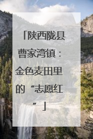 陕西陇县曹家湾镇：金色麦田里的“志愿红”