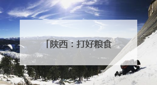 陕西：打好粮食收购“组合拳”