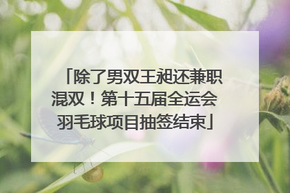 除了男双王昶还兼职混双！第十五届全运会羽毛球项目抽签结束