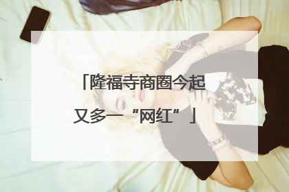 隆福寺商圈今起又多一“网红”