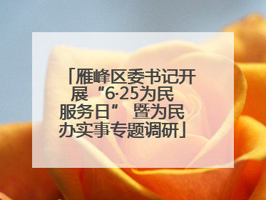 雁峰区委书记开展“6·25为民服务日” 暨为民办实事专题调研
