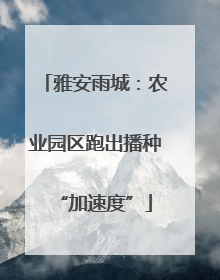 雅安雨城：农业园区跑出播种“加速度”