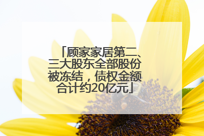顾家家居第二、三大股东全部股份被冻结，债权金额合计约20亿元