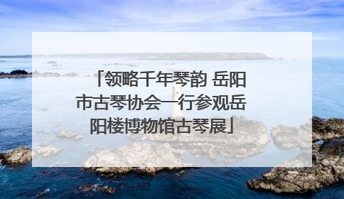 领略千年琴韵 岳阳市古琴协会一行参观岳阳楼博物馆古琴展