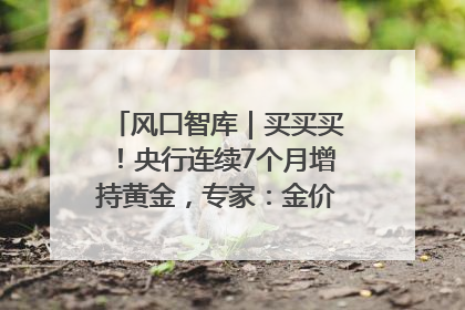 风口智库｜买买买！央行连续7个月增持黄金，专家：金价或仍易涨难跌