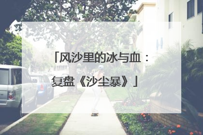 风沙里的冰与血：复盘《沙尘暴》