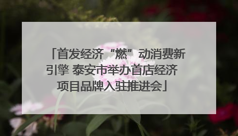 首发经济“燃”动消费新引擎 泰安市举办首店经济项目品牌入驻推进会