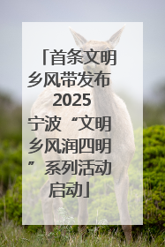 首条文明乡风带发布 2025宁波“文明乡风润四明”系列活动启动