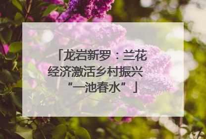 龙岩新罗：兰花经济激活乡村振兴“一池春水”