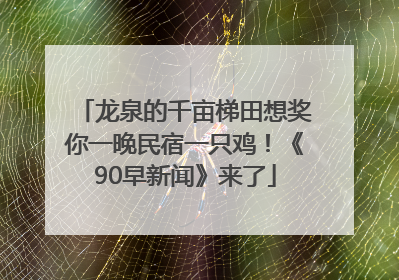 龙泉的千亩梯田想奖你一晚民宿一只鸡！《90早新闻》来了