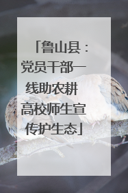 鲁山县：党员干部一线助农耕 高校师生宣传护生态