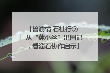鲁渝情·石柱行② ︳从“莼小丝”出国记，看淄石协作启示