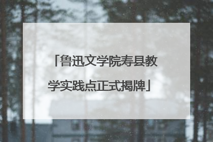 鲁迅文学院寿县教学实践点正式揭牌