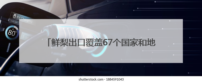 鲜梨出口覆盖67个国家和地区 河北鲜梨俏销海外市场